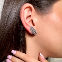 Wings earrings
